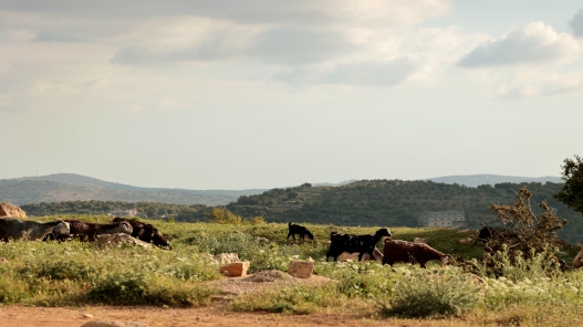 صورة حول : طقس مشمس ولطيف الاثنين وارتفاع تدريجي على الحرارة حتى نهاية الأسبوع طقس مشمس ولطيف الاثنين وارتفاع تدريجي على الحرارة حتى نهاية الأسبوع