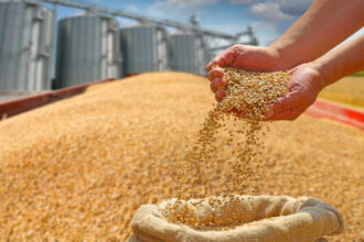 الحكومة تخفض أسعار الطحين والقمح في نيسان للحفاظ على استقرار الخبز