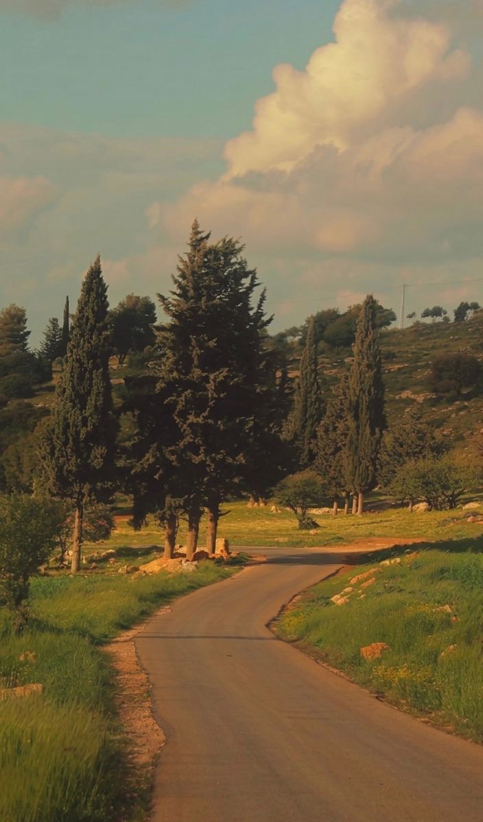 شطنا تستعيد حضورها كوجهة ريفية طبيعية شمال الأردن