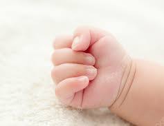 مبارك المولود رشيد خالد عودة، وجعله الله قرة عينٍ لوالديه.