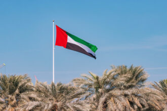 أمن الدولة الإماراتي يفكك تنظيماً إرهابياً ويقبض على عناصره