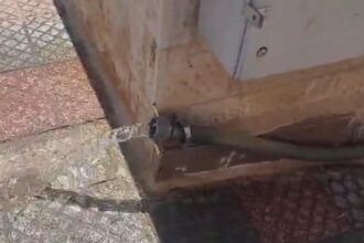 وزارة المياه تنفذ حملة لإزالة التعديات على خطوط المياه في وادي السير وأبو نصير