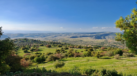 الأمن العام: خطة لضبط سلوكيات التنزه وحماية البيئة