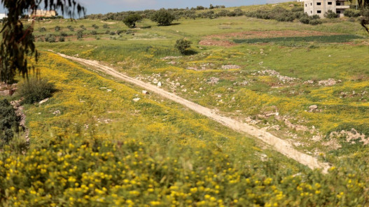أجواء باردة نسبياً السبت مع احتمال زخات خفيفة شمالاً