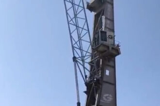 تحديث رافعتين في موانئ العقبة يوفر ملايين الدنانير ويعزز الكفاءة التشغيلية