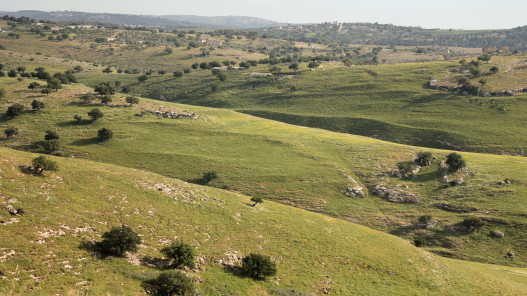 طقس بارد نسبياً الأحد وارتفاع تدريجي على الحرارة حتى الأربعاء مع أجواء دافئة ومغبرة أحياناً
