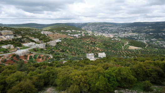 زراعة عجلون تطلق خطة صيفية للحد من الحرائق