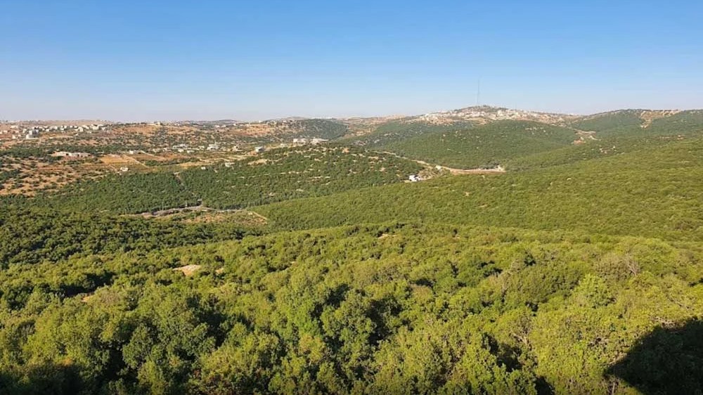 عجلون تكثف استعداداتها للوقاية من حرائق الغابات