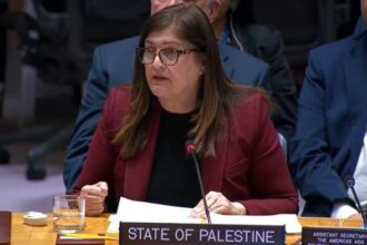 فلسطين تطالب بانسحاب إسرائيلي كامل من غزة