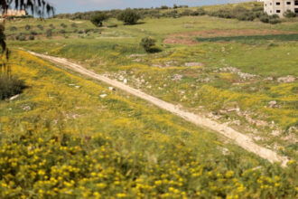 أجواء دافئة ومشمسة في أغلب مناطق المملكة الخميس