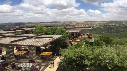 محمية غابات عجلون نموذج رائد للسياحة البيئية