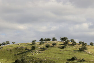 أجواء غير مستقرة وأمطار رعدية متوقعة الجمعة