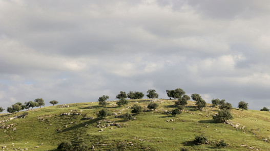 أجواء غير مستقرة وأمطار رعدية متوقعة الجمعة