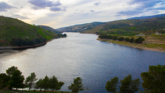 توقيع الاتفاقية النهائية لمشروع الناقل الوطني تمهيداً لبدء التنفيذ الصيف المقبل