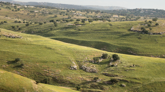 أجواء دافئة نهاية الأسبوع وارتفاع تدريجي على درجات الحرارة