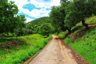 المسارات السياحية في عجلون تعزز السياحة الداخلية وتدعم التنمية المحلية