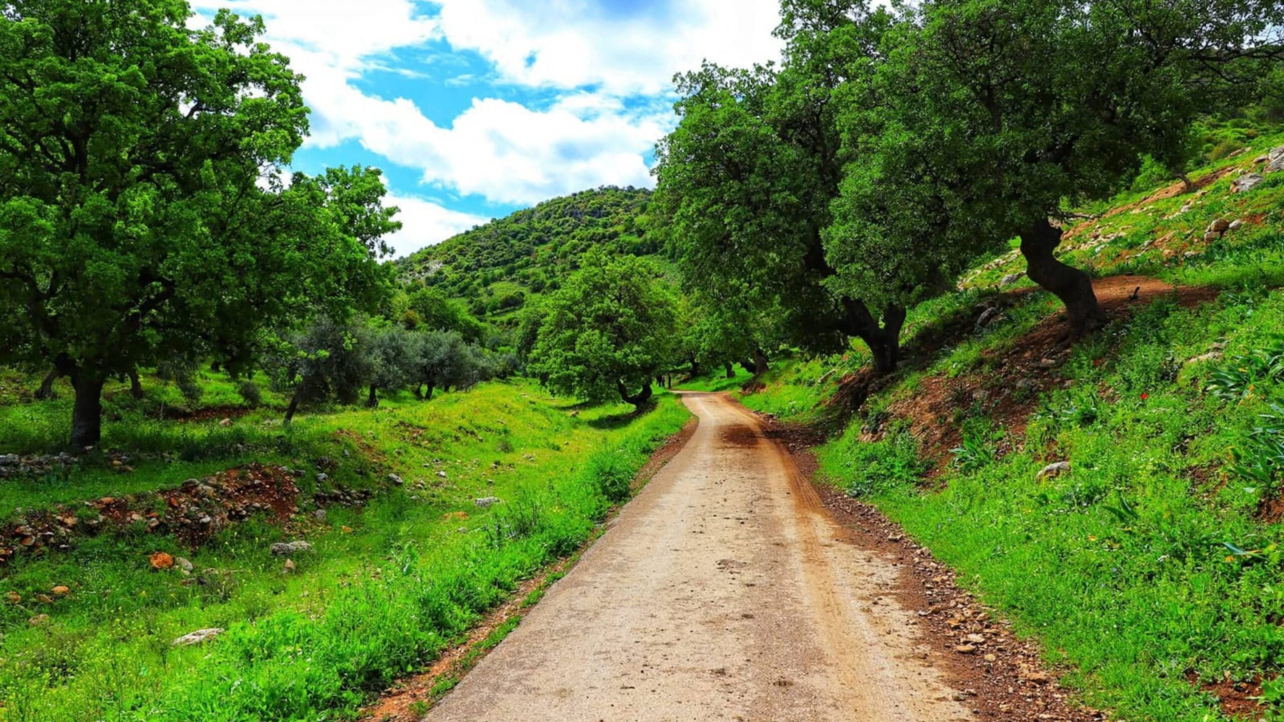 المسارات السياحية في عجلون تعزز السياحة الداخلية وتدعم التنمية المحلية