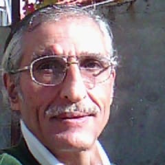 إمشِ عِدِلْ ... يحتار عدوك فيك .. كاميرا لكل سيارة!