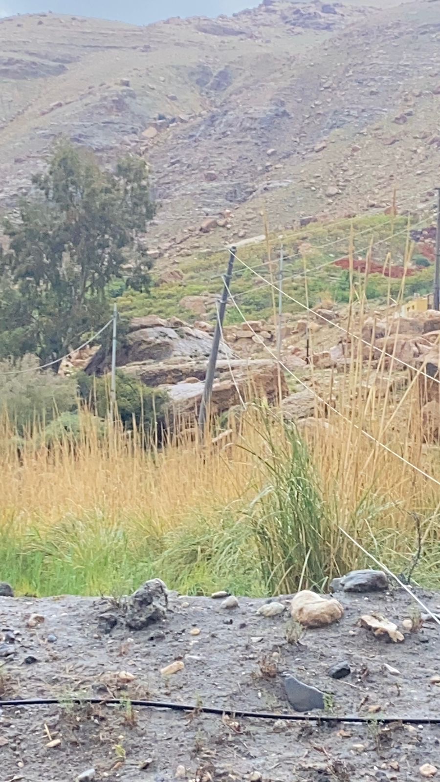 فيديو وصور.. عامود ضغط عاليا يدمر منشآت سياحية بمنطقة البربيطة في محافظة الطفيلة