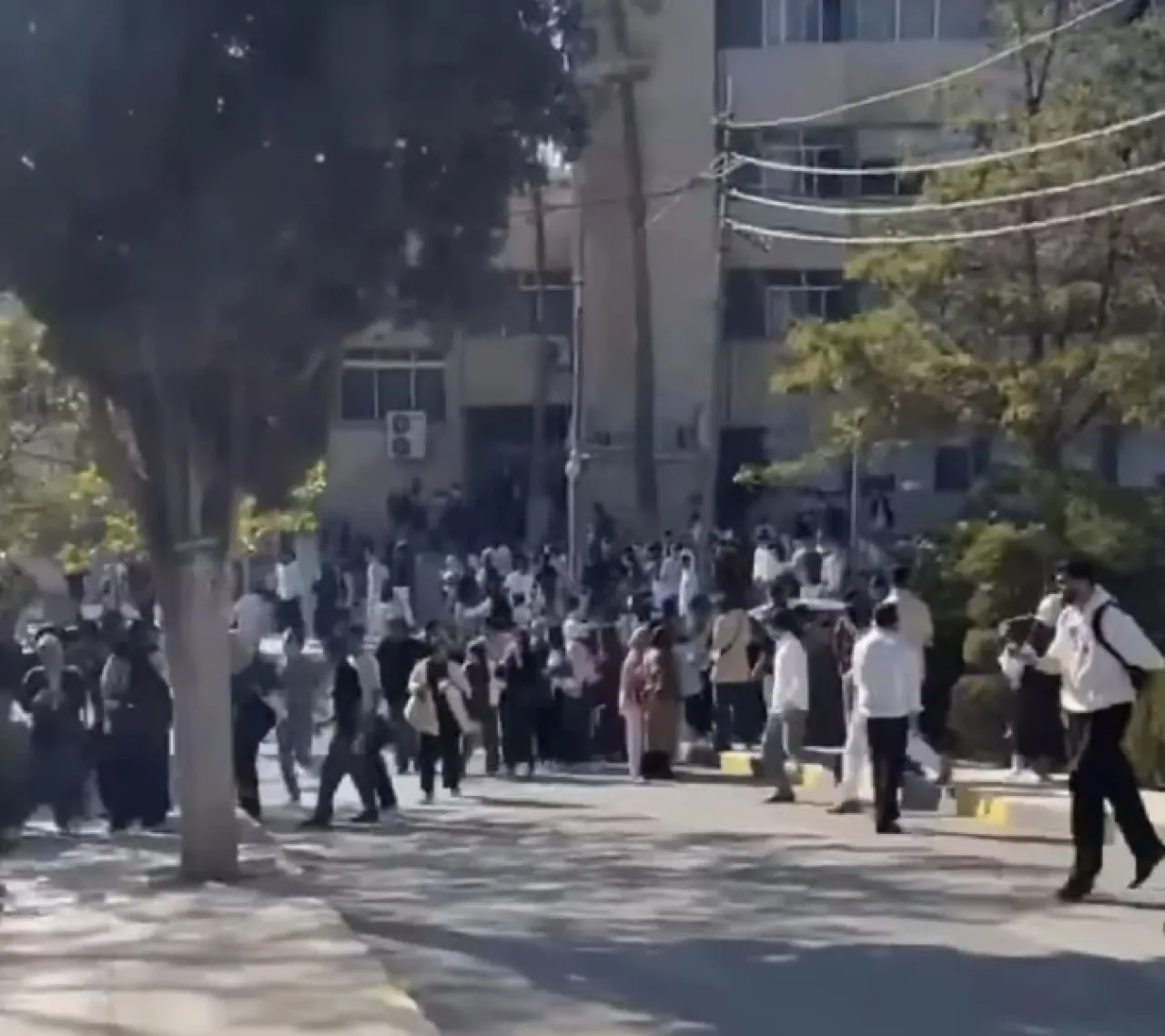 مشاجرة داخل الجامعة الأردنية قبيل انتخابات اتحاد الطلبة