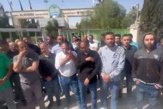 بالفيديو: موظفين شركة “نعمان الجنيدي” يطالبون برواتبهم المتأخرة منذ 2025/12 وإدارة الشركة ترد