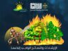 ضمن مبادرة “صيف آمن”.. إرشادات لتفادي حرائق التنزه والأعشاب