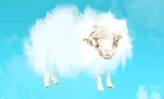 تفسير حلم ضياع الأضحية وهروب الخروف: قلق وفرص مؤجلة
