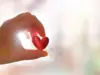 خرافة "الحب الوحيد".. كم مرة يعشق الإنسان وفقاً لعلماء النفس؟