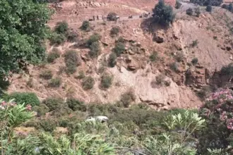 المغرب.. مصرع 3 بينهم تلميذ وإصابات العشرات في حادث مروع