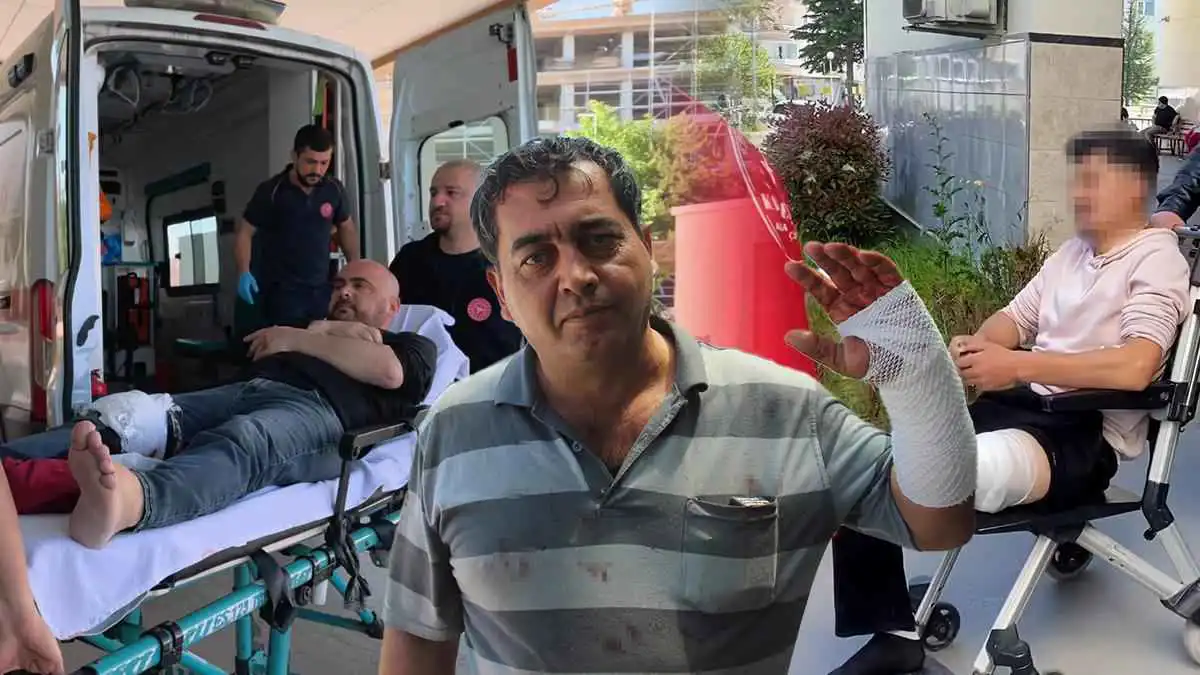 صورة حول : 13 ألف مصاب خلال حوادث ذبح الأضاحي في تركيا (فيديو) 13 ألف مصاب خلال حوادث ذبح الأضاحي في تركيا (فيديو)