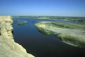 تمساح أم زاحف ضخم؟ حقيقة الحيوان الذي ظهر في دير الزور (فيديو)