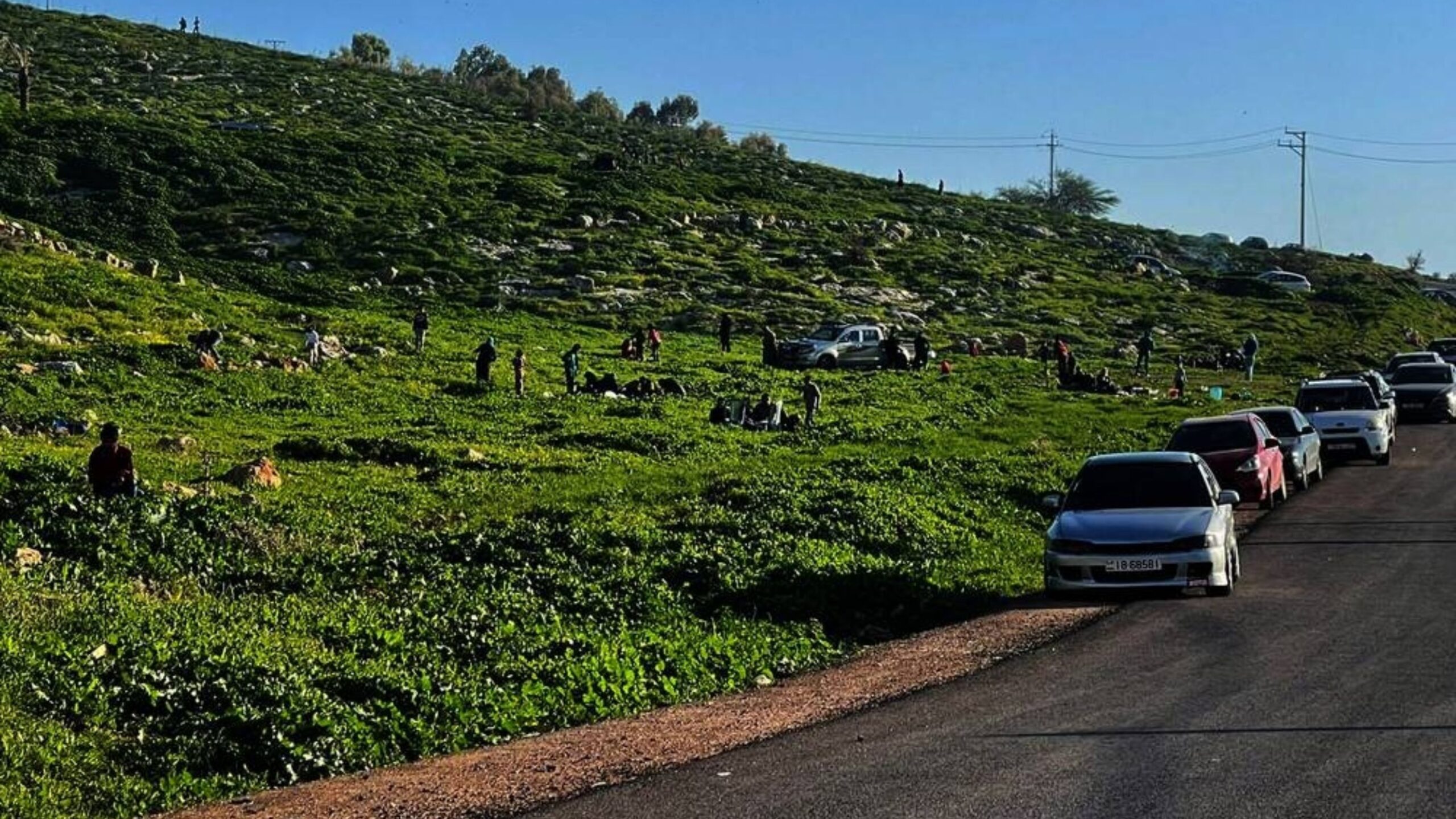 صورة حول : عجلون تشهد إقبالاً سياحياً واسعاً خلال عطلة عجلون تشهد إقبالاً سياحياً واسعاً خلال عطلة