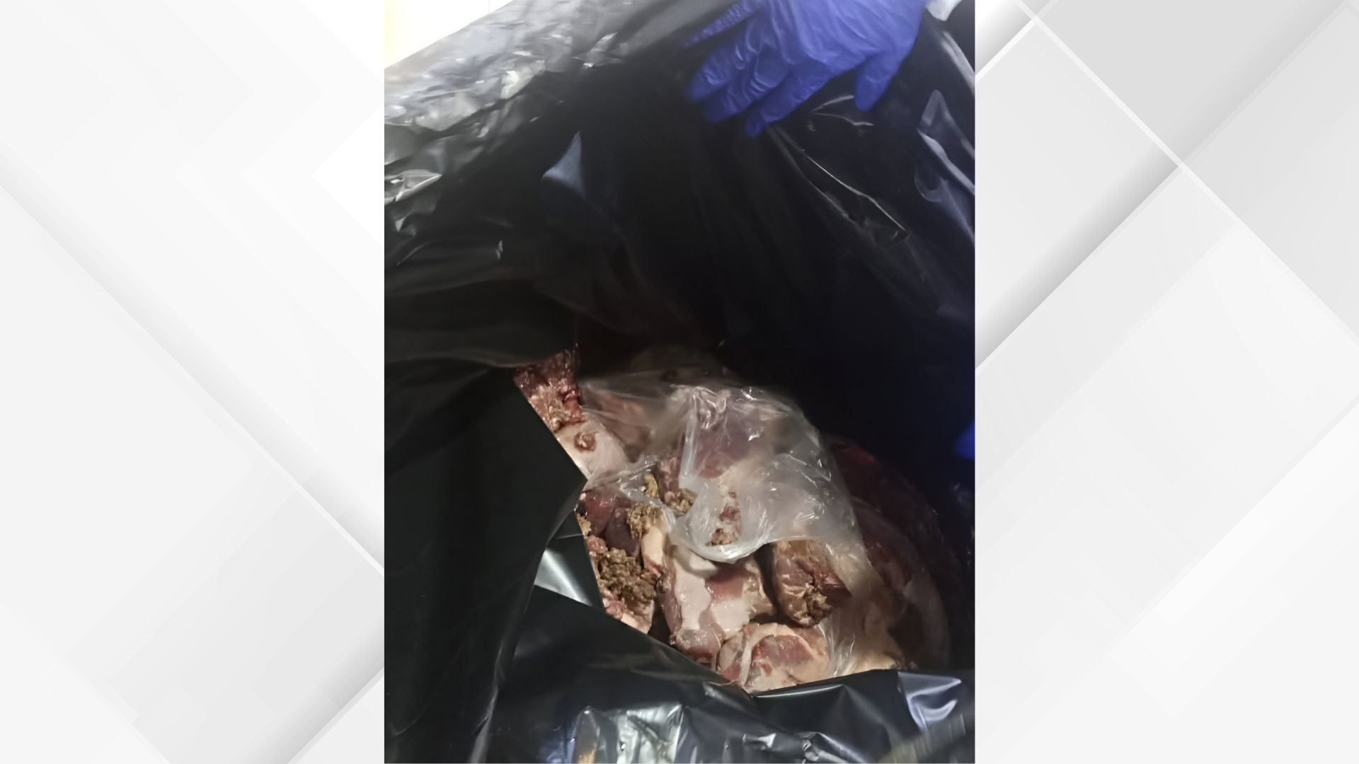 صورة حول : بلدية المفرق الكبرى تضبط وتتلف كميات من اللحوم غير الصالحة للاستهلاك بلدية المفرق الكبرى تضبط وتتلف كميات من اللحوم غير الصالحة للاستهلاك