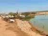 الأردن يحتفل باليوم العالمي للأنواع المهددة بالانقراض بحماية "المها العربي"