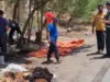 مطالب بتكثيف إزالة مخلفات الأضاحي وتعقيم مناطق في عجلون