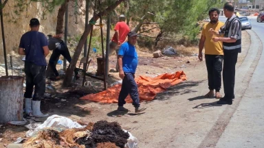 صورة حول : مطالب بتكثيف إزالة مخلفات الأضاحي وتعقيم مناطق في عجلون مطالب بتكثيف إزالة مخلفات الأضاحي وتعقيم مناطق في عجلون