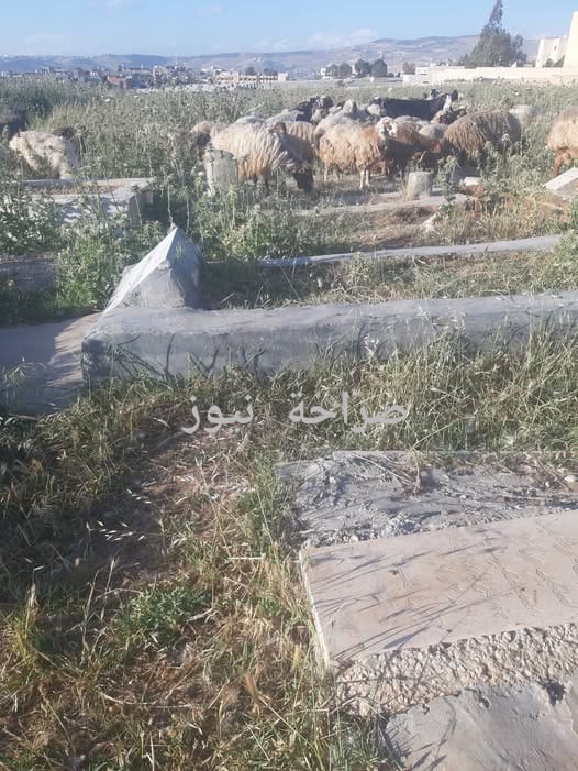 مقبرة في مخيم البقعة تشهد حالة إهمال وتضرر في شواهد القبور والأشجار (صورة)