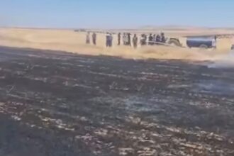 نشوب حريق في محاصيل قمح في لواء القصر