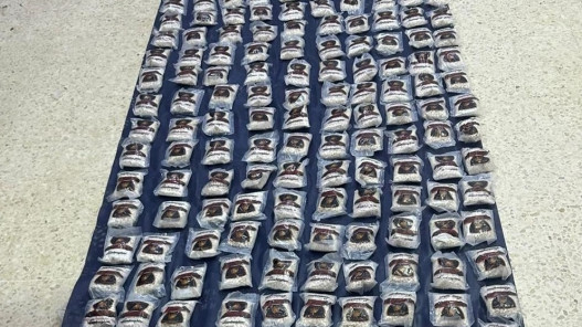 صورة حول : الجيش يحبط تهريب مواد مخدرة بواسطة بالونات موجهة إلكترونياً على الواجهة الشرقية الجيش يحبط تهريب مواد مخدرة بواسطة بالونات موجهة إلكترونياً على الواجهة الشرقية