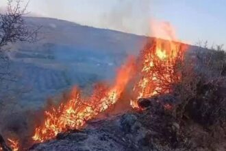 اندلاع حريق في جبل بمنطقة عبدون (فيديو)