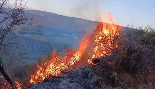 اندلاع حريق في جبل بمنطقة عبدون (فيديو)