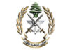 استشهاد عسكري لبناني بغارة إسرائيلية على طريق كفررمان – النبطية