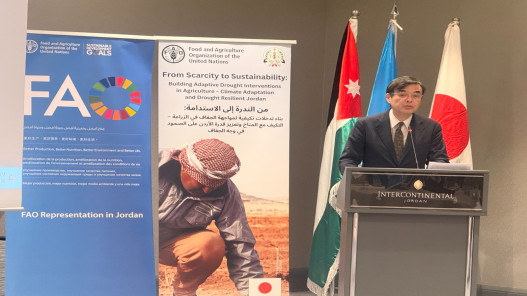 بدعم ياباني.. “الفاو” تطلق مشروعًا لتعزيز صمود القطاع الزراعي الأردني في مواجهة الجفاف