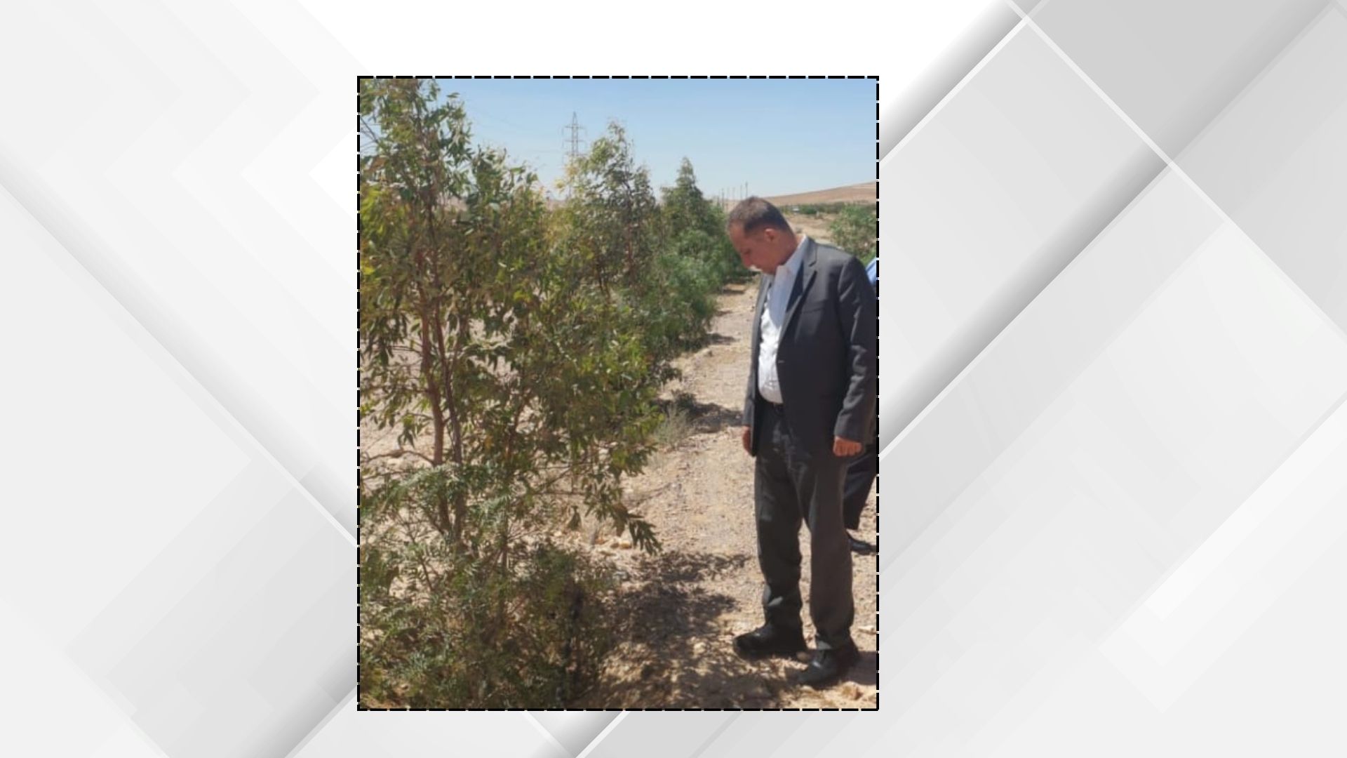 صورة حول : وزير الزراعة يتفقد غابة اليوبيل الفضي في القطرانة وزير الزراعة يتفقد غابة اليوبيل الفضي في القطرانة