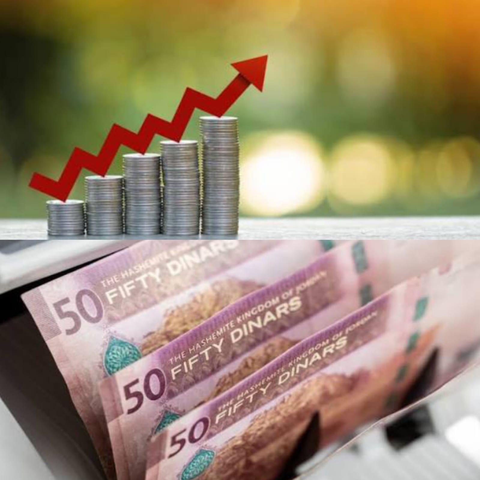 دية لـ"صراحة": المديونية العامة تقترب من 50 مليار دينار والدين يرتفع 8 مليارات خلال 3 سنوات