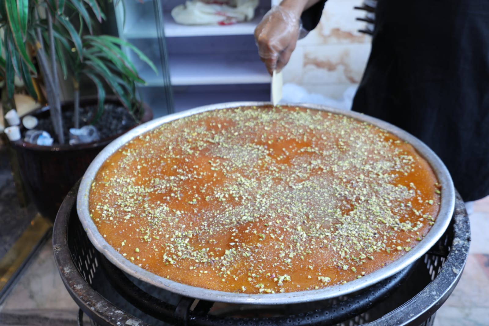 الف مبارك الزفاف عبدالله كريم ال زعل الخوالدة