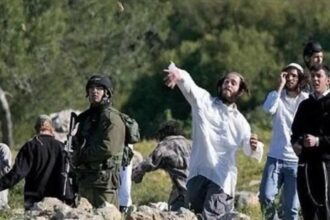 مستوطنون يستولون على عين روابي شرق القدس بعد تخريبها
