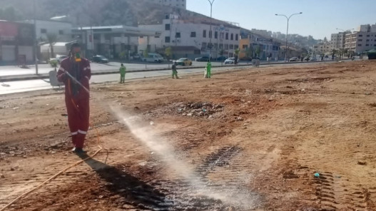 مجلس خدمات جرش يواصل حملات رش المبيدات لمكافحة الحشرات