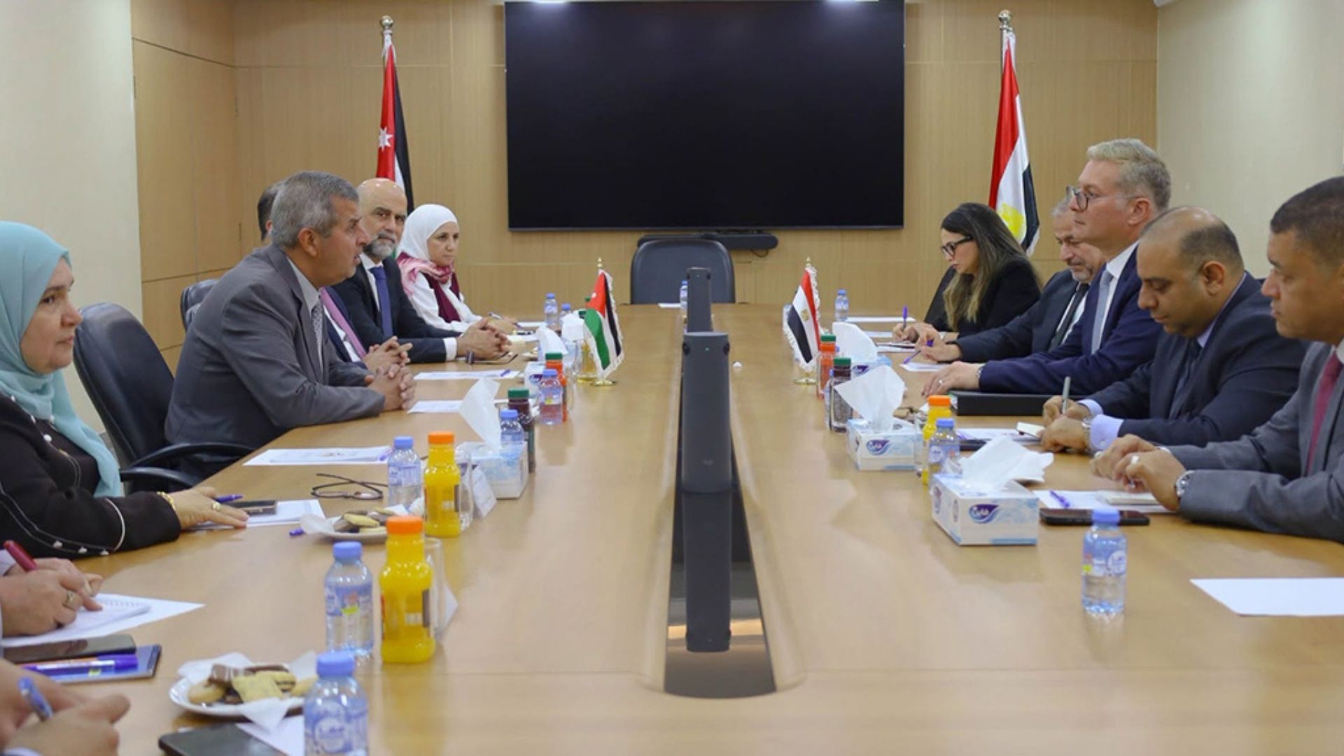الأردن ومصر يبحثان إطلاق مشروعات استراتيجية مشتركة في الطاقة والتعدين