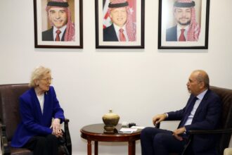 الصفدي يؤكد لمجلس الحكماء ضرورة تثبيت وقف إطلاق النار في غزة وإنهاء التصعيد الإقليمي